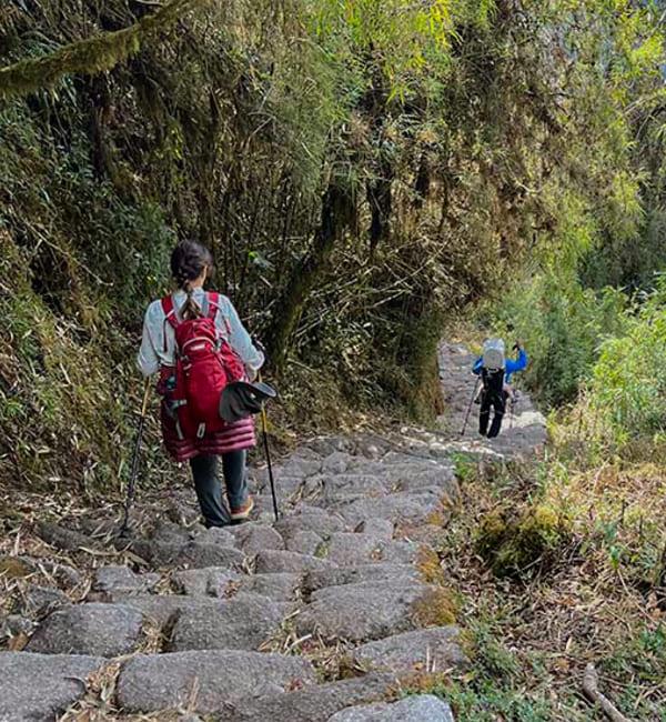 Camino Inca